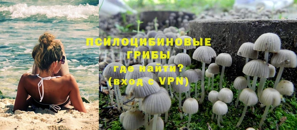 винт Куйбышев
