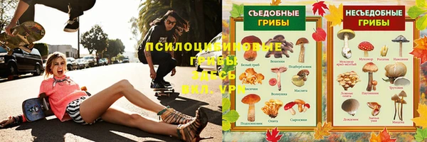 spice Алзамай