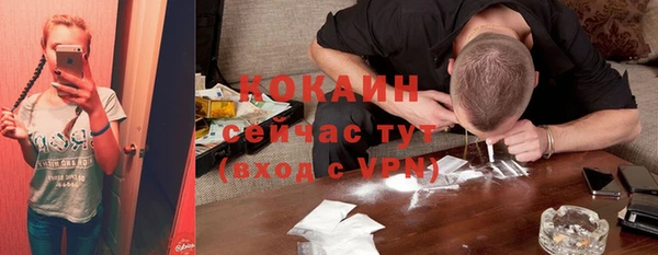 spice Алзамай