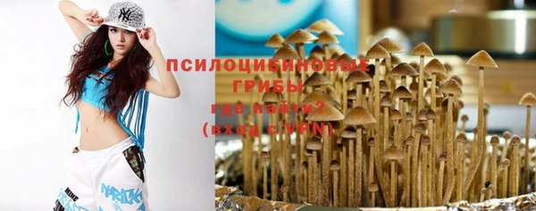 метамфетамин Алексеевка