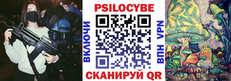 mega онион  Гдов  Псилоцибиновые грибы Cubensis 