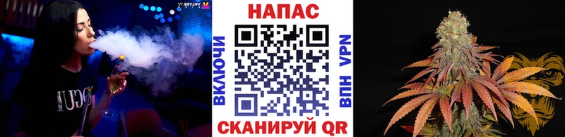 kraken онион  где продают наркотики  Гдов  Марихуана марихуана 